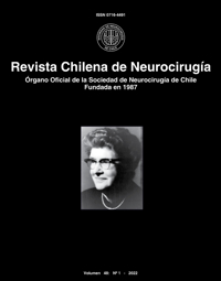 					Ver Vol. 48 Núm. 1 (2022)
				