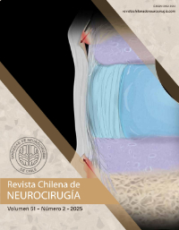 					Ver Vol. 51 Núm. 2 (2025)
				